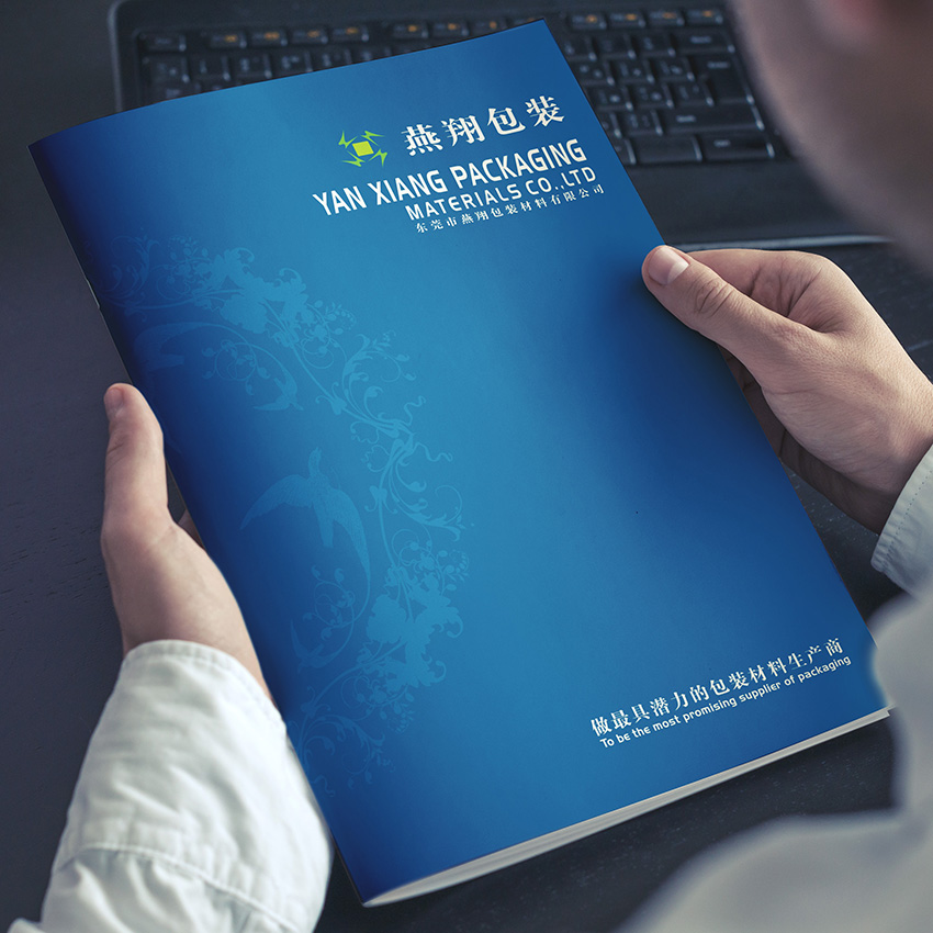 燕翔包装画册设计案例