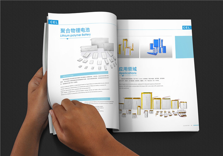 金赛尔电池画册设计
