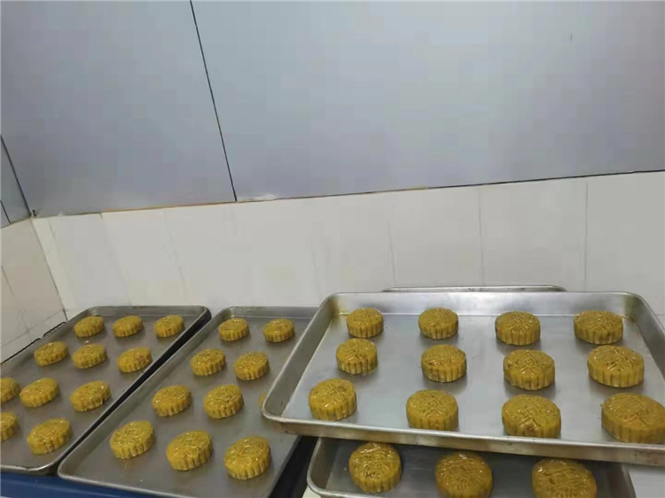 东莞画册设计