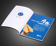 东莞网商会宣传画册设计案例欣赏