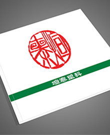 宣泰化工画册设计